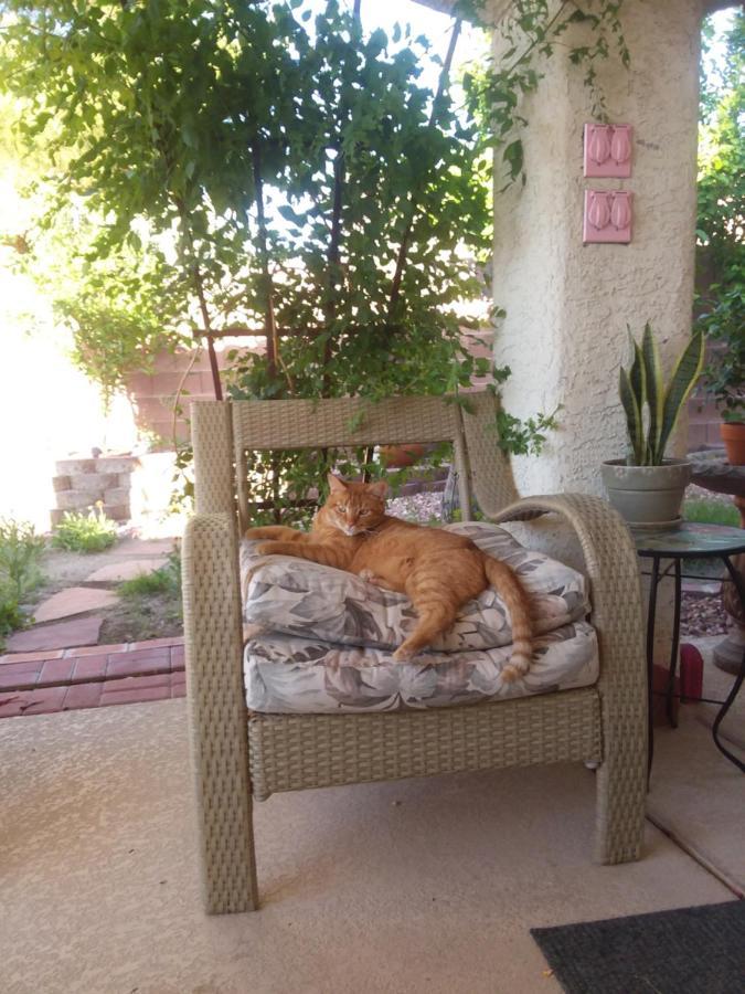Homestay Catmosphere *